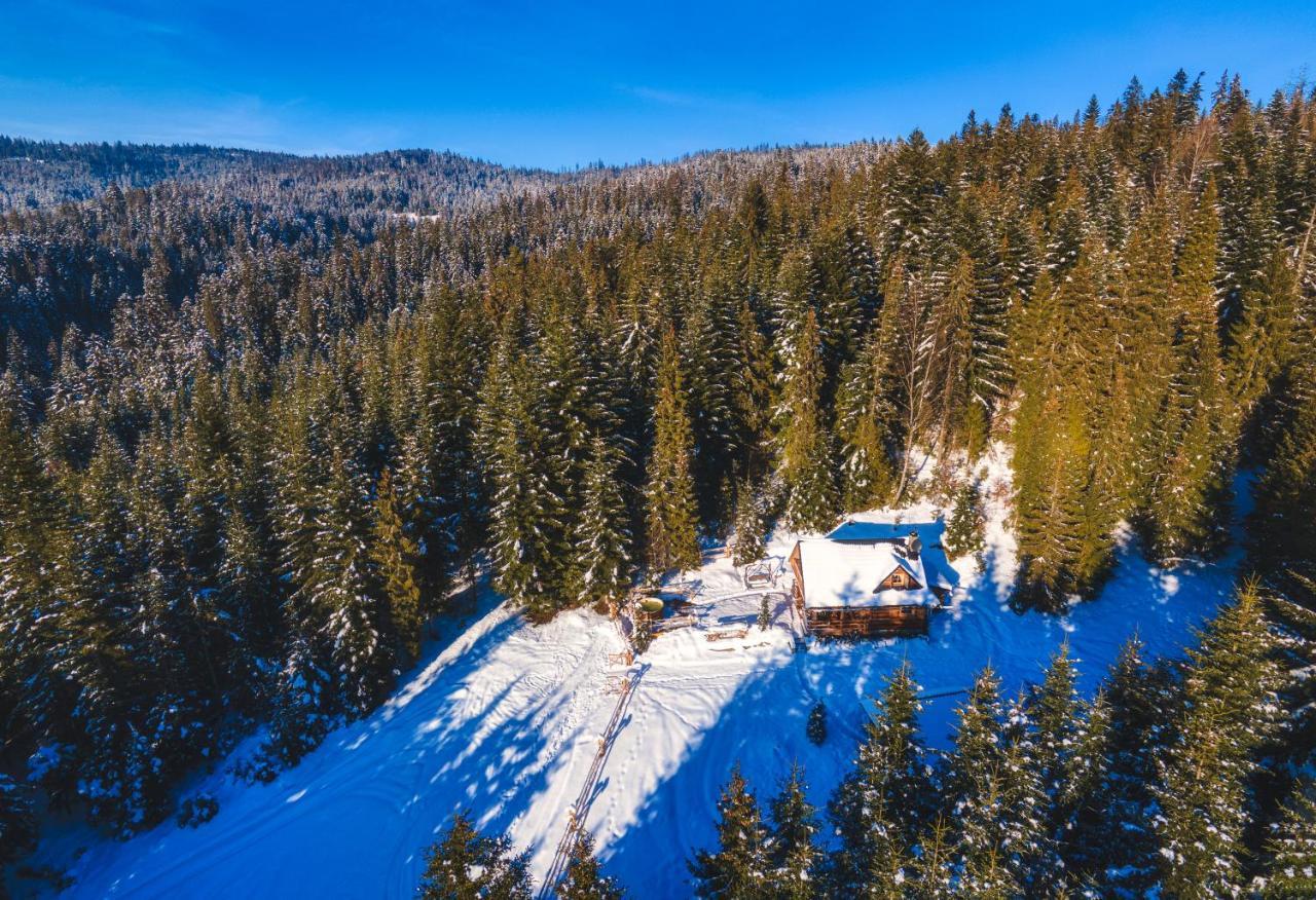 Villa Leśna Bacówka Nowy Targ Exterior foto