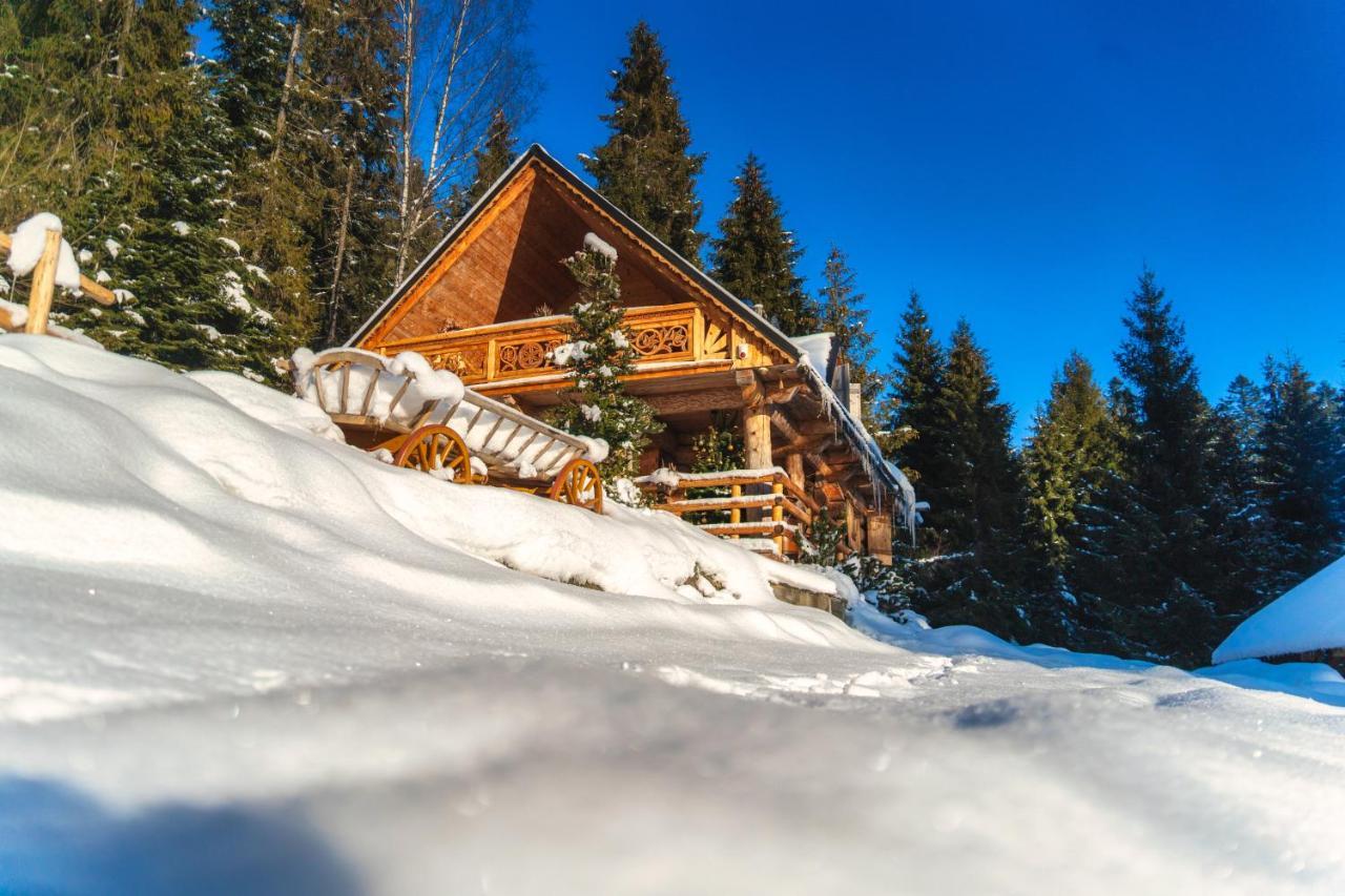 Villa Leśna Bacówka Nowy Targ Exterior foto