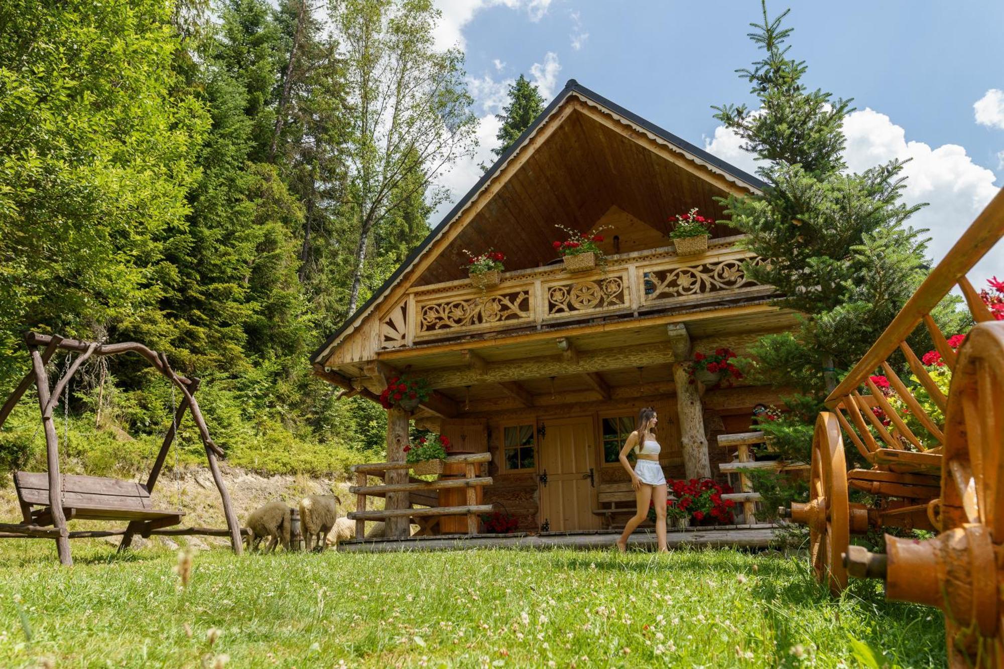 Villa Leśna Bacówka Nowy Targ Exterior foto