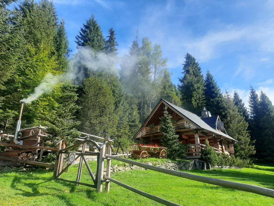 Villa Leśna Bacówka Nowy Targ Exterior foto