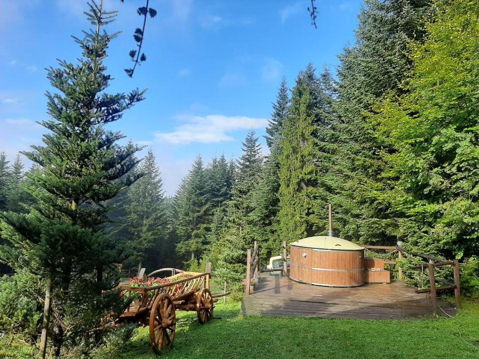 Villa Leśna Bacówka Nowy Targ Exterior foto