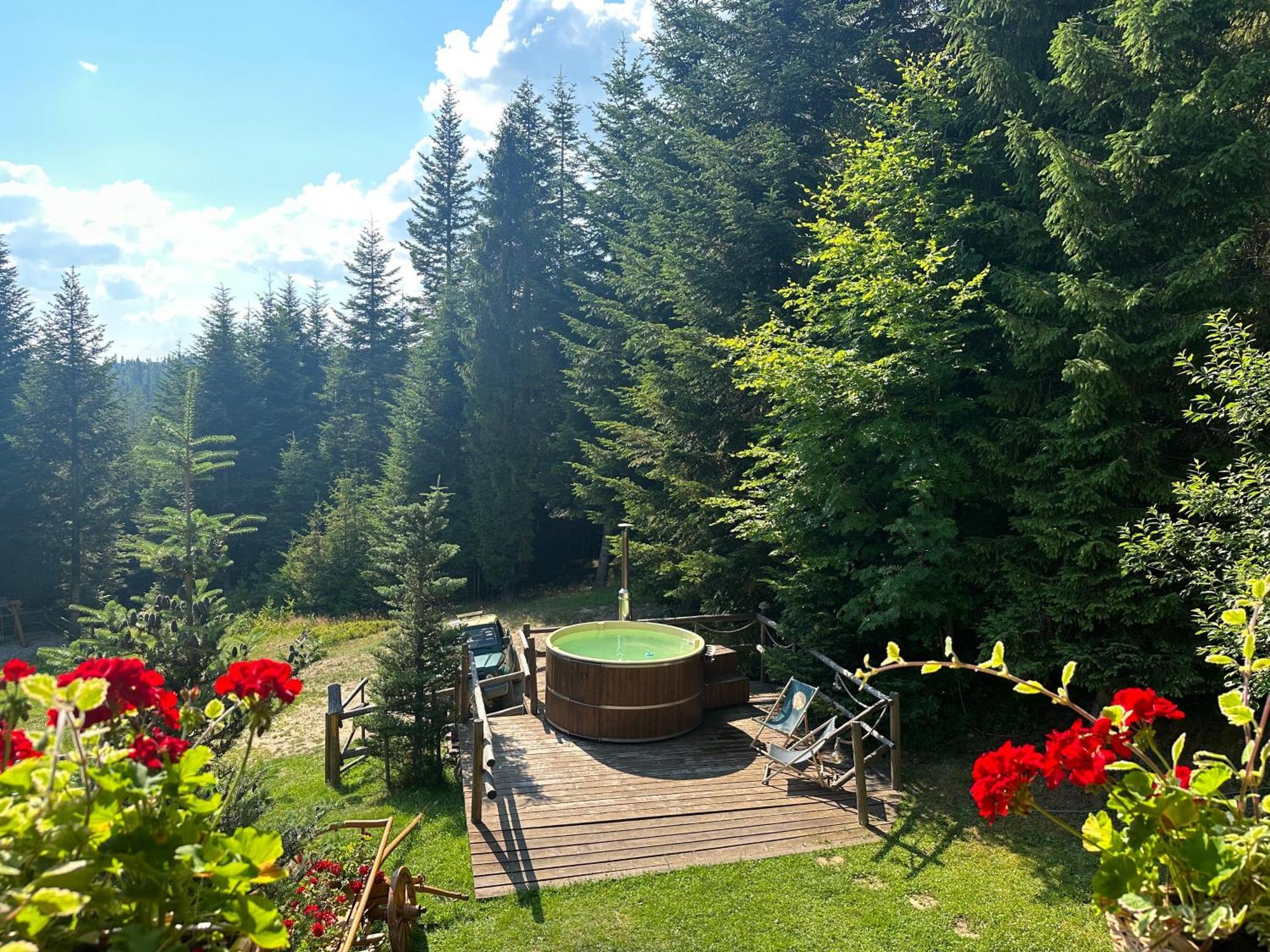 Villa Leśna Bacówka Nowy Targ Exterior foto