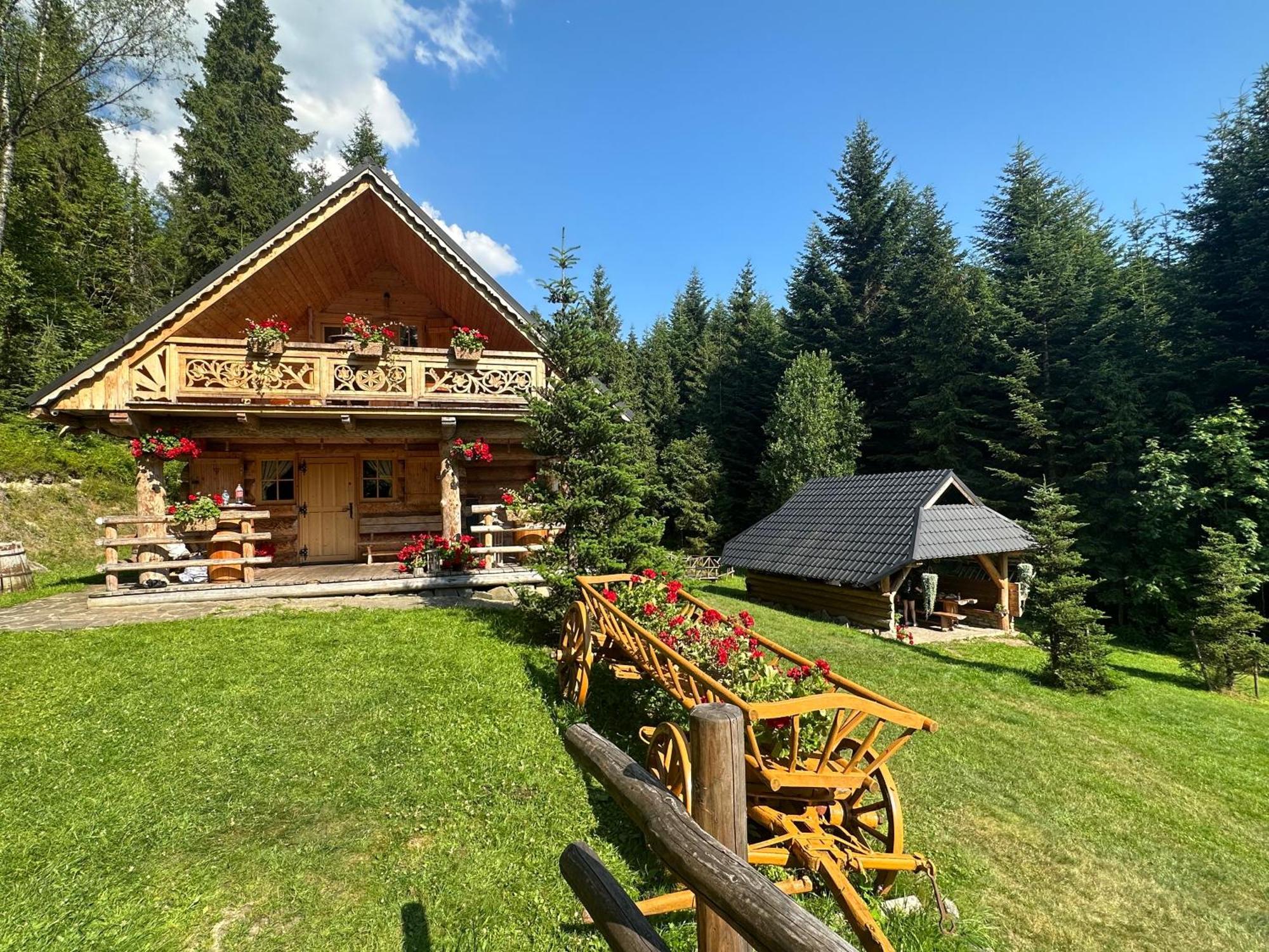 Villa Leśna Bacówka Nowy Targ Exterior foto