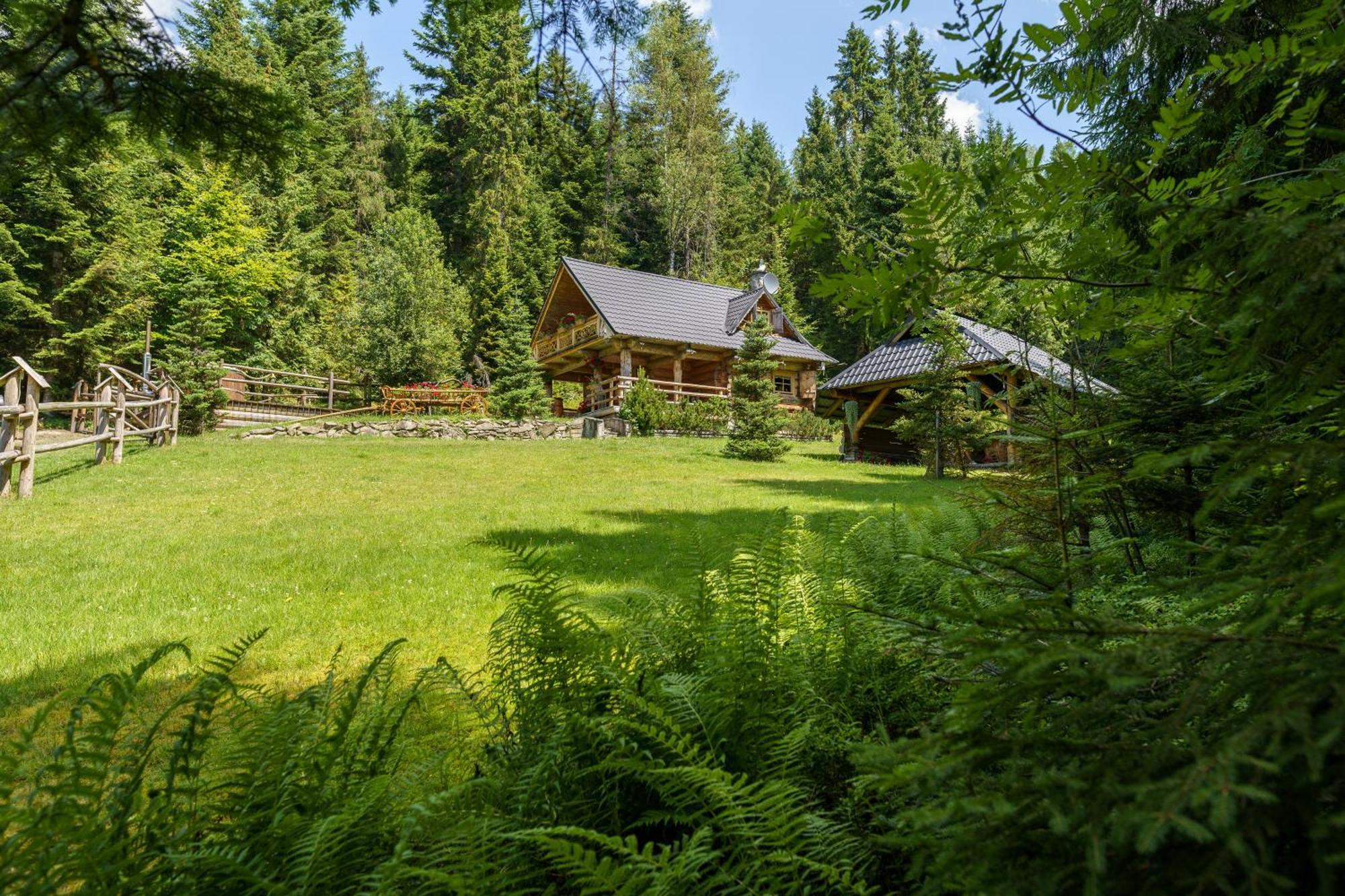 Villa Leśna Bacówka Nowy Targ Exterior foto