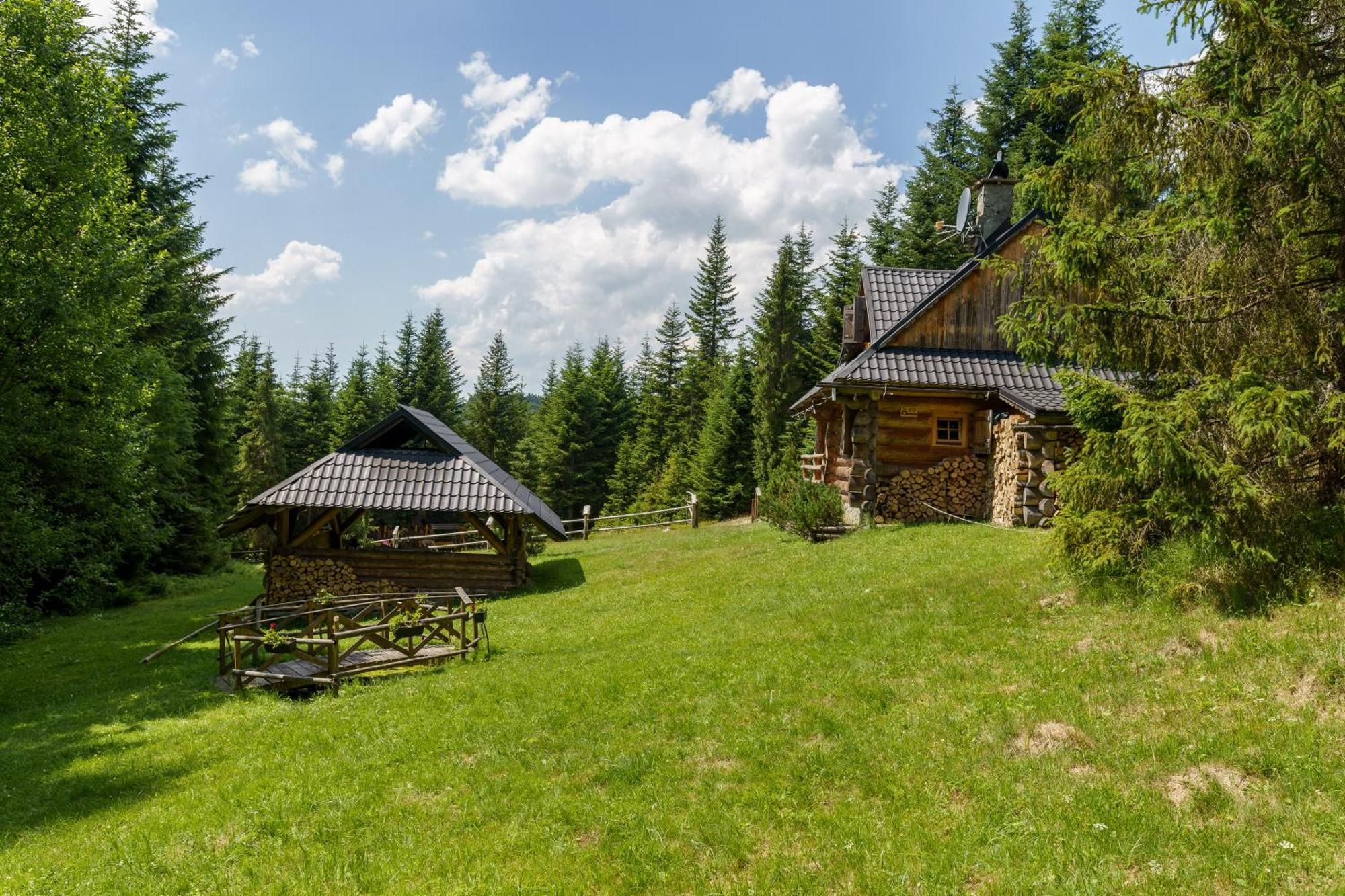 Villa Leśna Bacówka Nowy Targ Exterior foto
