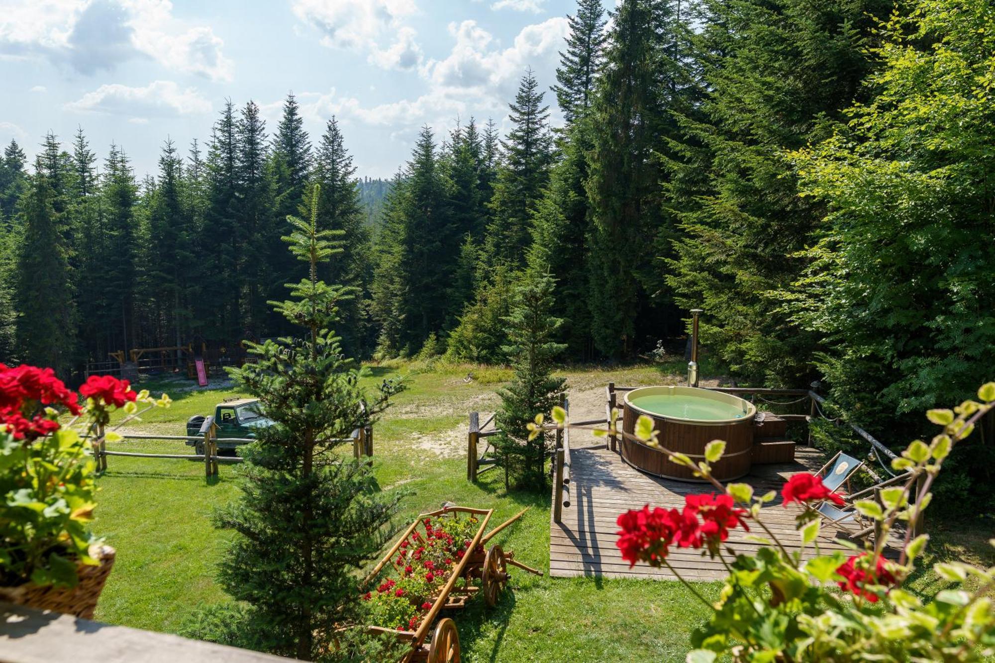 Villa Leśna Bacówka Nowy Targ Exterior foto