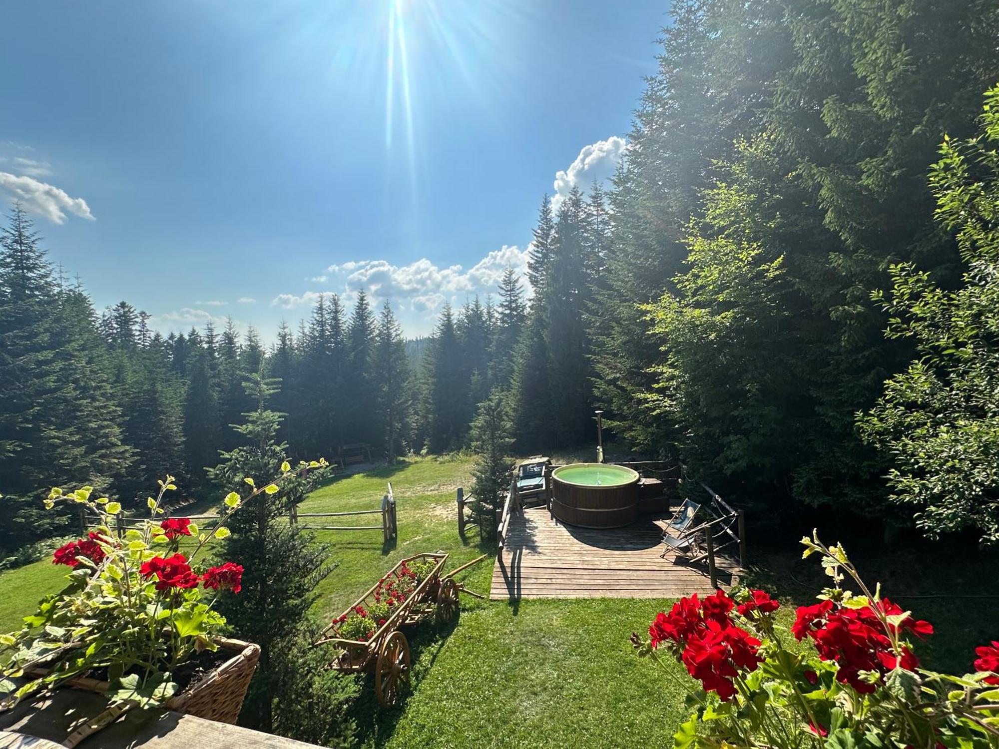 Villa Leśna Bacówka Nowy Targ Exterior foto