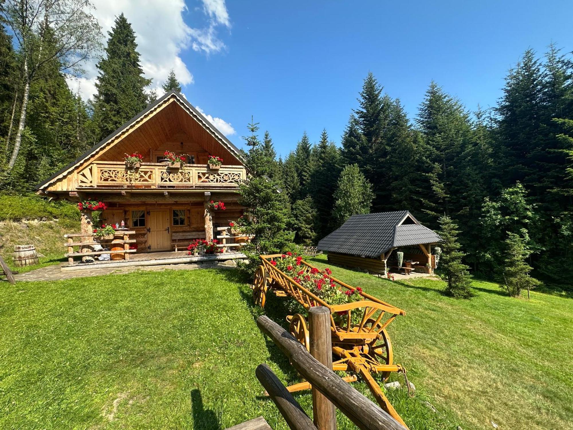 Villa Leśna Bacówka Nowy Targ Exterior foto