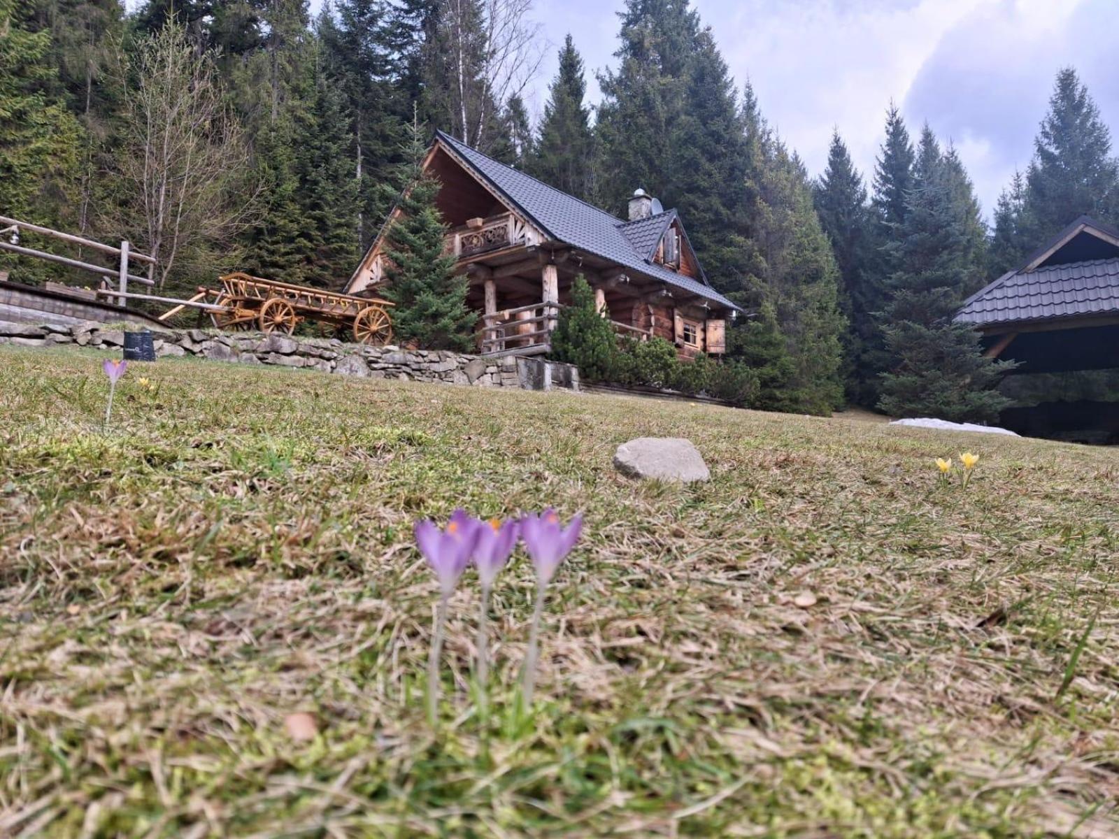 Villa Leśna Bacówka Nowy Targ Exterior foto